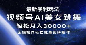 （12377期）最新暴利玩法视频号AI美女，简单矩阵轻松月入30000+-黑斯坦丁项目网