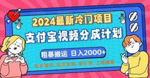 (12407期)2024最新冷门项目!支付宝视频分成计划,直接粗暴搬运,日入2000+,有…-黑斯坦丁项目网