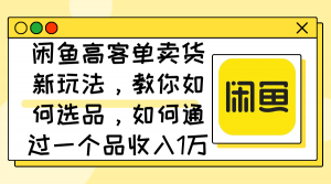 （12387期）闲鱼高客单卖货新玩法，教你如何选品，如何通过一个品收入1万+-黑斯坦丁项目网