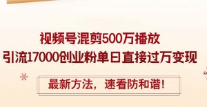 （12391期）精华帖视频号混剪500万播放引流17000创业粉，单日直接过万变现，最新方…-黑斯坦丁项目网