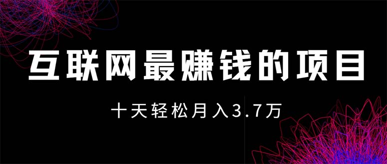 （12396期）互联网最赚钱的项目没有之一，轻松月入7万+，团队最新项目-黑斯坦丁项目网