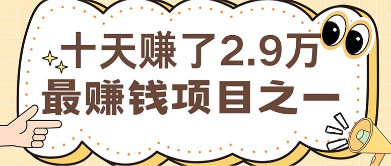（12491期）闲鱼小红书赚钱项目之一，轻松月入6万+项目-黑斯坦丁项目网