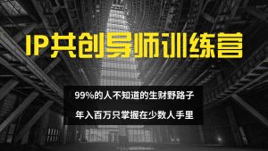 （12504期）IP共创导师训练营 99%的人不知道的生财野路子 只掌握在少数人手里-黑斯坦丁项目网