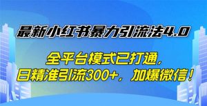 (12505期)最新小红书暴力引流法4.0, 全平台模式已打通,日精准引流300+,加爆微…-黑斯坦丁项目网