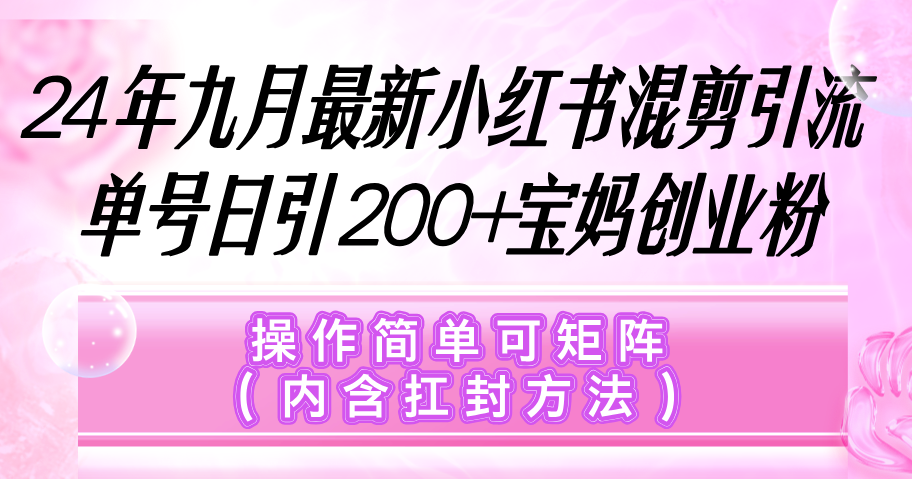 （12530期）小红书混剪引流，单号日引200+宝妈创业粉，操作简单可矩阵（内含扛封…-黑斯坦丁项目网