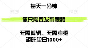（12538期）矩阵单日1000+，你只需要发布视频，用时一分钟，无需剪辑，无需拍摄-黑斯坦丁项目网