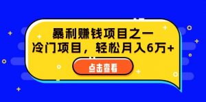（12540期）视频号最新玩法，老年养生赛道一键原创，内附多种变现渠道，可批量操作-黑斯坦丁项目网