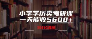 （12556期）小学学历卖考研课程，一天收5600（附3580G考研合集）-黑斯坦丁项目网