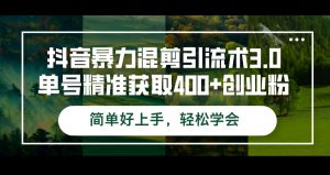 (12630期)抖音暴力混剪引流术3.0单号精准获取400+创业粉简单好上手,轻松学会-黑斯坦丁项目网