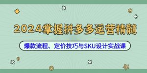（12703期）2024掌握拼多多运营精髓：爆款流程、定价技巧与SKU设计实战课-黑斯坦丁项目网