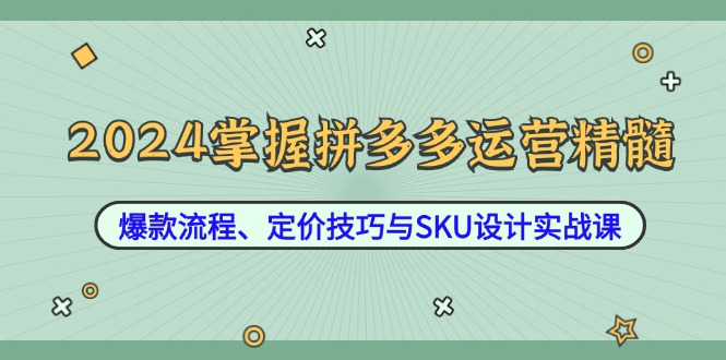 （12703期）2024掌握拼多多运营精髓：爆款流程、定价技巧与SKU设计实战课-黑斯坦丁项目网