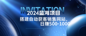 （12743期）2024蓝海项目，搭建销售网站，自动获客，日赚500-1000-黑斯坦丁项目网