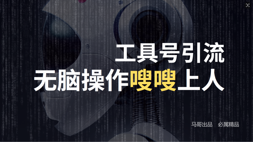 (12747期)24年抖音最新工具号日引流300+创业粉,日入5000+-黑斯坦丁项目网