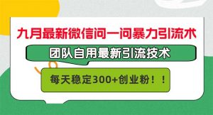 (12735期)九月最新微信问一问暴力引流术,团队自用引流术,每天稳定300+创…-黑斯坦丁项目网