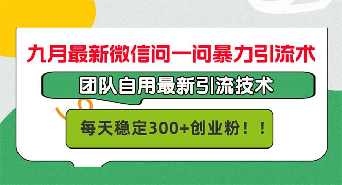 (12735期)九月最新微信问一问暴力引流术,团队自用引流术,每天稳定300+创…-黑斯坦丁项目网