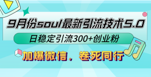 (12772期)9月份soul最新引流技术5.0,日稳定引流300+创业粉,加爆微信,卷死同行-黑斯坦丁项目网