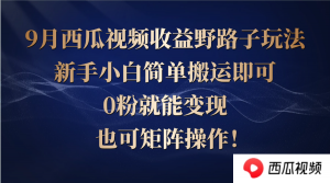（12760期）西瓜视频收益野路子玩法，新手小白简单搬运即可，0粉就能变现，也可矩…-黑斯坦丁项目网