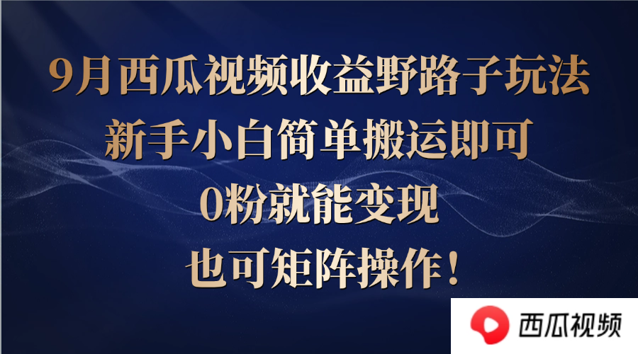 （12760期）西瓜视频收益野路子玩法，新手小白简单搬运即可，0粉就能变现，也可矩…-黑斯坦丁项目网