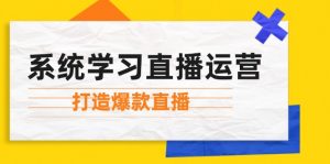 （12802期）系统学习直播运营：掌握起号方法、主播能力、小店随心推，打造爆款直播-黑斯坦丁项目网