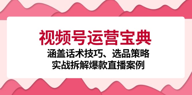 （12808期）视频号运营宝典：涵盖话术技巧、选品策略、实战拆解爆款直播案例-黑斯坦丁项目网