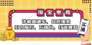 （12814期）2024淘宝电商课程：详解直通车、自然搜索、引力魔方、万相台，打造爆款-黑斯坦丁项目网