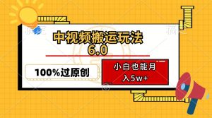 （12838期）中视频搬运玩法6.0，利用软件双重去重，100%过原创，小白也能月入5w+-黑斯坦丁项目网
