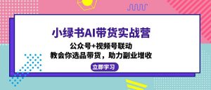 （12848期）小绿书AI带货实战营：公众号+视频号联动，教会你选品带货，助力副业增收-黑斯坦丁项目网