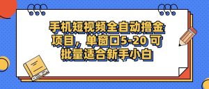 （12898期）手机短视频掘金项目，单窗口单平台5-20 可批量适合新手小白-黑斯坦丁项目网