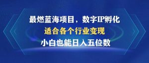 （12941期）最燃蓝海项目  数字IP孵化  适合各个行业变现  小白也能日入5位数-黑斯坦丁项目网