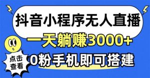 （12988期）抖音小程序无人直播，一天躺赚3000+，0粉手机可搭建，不违规不限流，小…-黑斯坦丁项目网