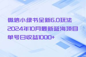 （13052期）微信小绿书全新6.0玩法，2024年10月最新蓝海项目，单号日收益1000+-黑斯坦丁项目网