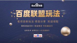 （13076期）百度联盟 单机300+课程分享 小白可无脑操作-黑斯坦丁项目网