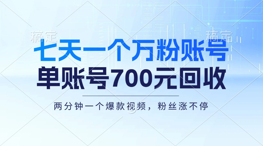 (13062期)七天一个万粉账号,新手小白秒上手,单账号回收700元,轻松月入三万+-黑斯坦丁项目网