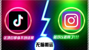 （13064期）抖音无脑搬运，如果这项目都拿不到结果，你可以退网了-黑斯坦丁项目网