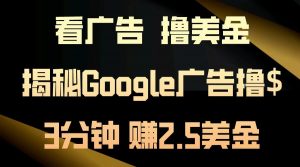 （13114期）看广告，撸美金！3分钟赚2.5美金！日入200美金不是梦！揭秘Google广告…-黑斯坦丁项目网