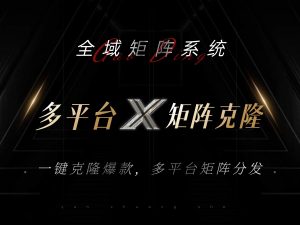 （13126期）全域矩阵系统，可一键克隆爆款矩阵分发到多个平台！矩阵操作日引流500+！-黑斯坦丁项目网