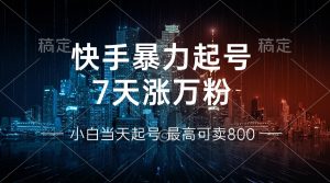 (13142期)快手暴力起号,7天涨万粉,小白当天起号 多种变现方式,账号回收,单月…-黑斯坦丁项目网