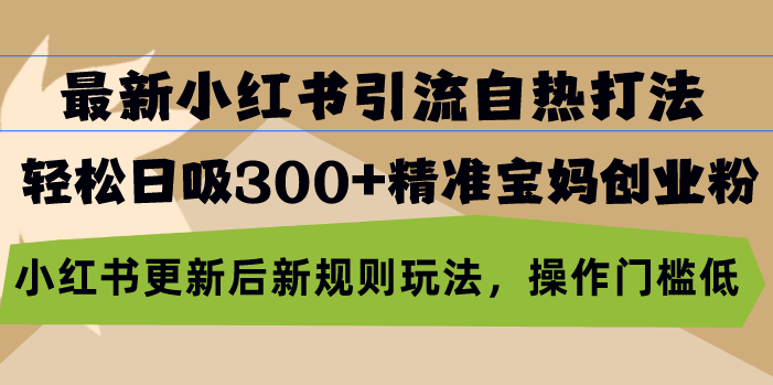 (13145期)最新小红书引流自热打法,轻松日吸300+精准宝妈创业粉,小红书更新后新…-黑斯坦丁项目网