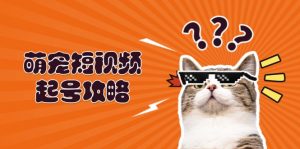 (13135期)萌宠-短视频起号攻略:定位搭建推流全解析,助力新手轻松打造爆款-黑斯坦丁项目网