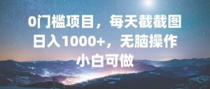 （13160期）0门槛项目，每天截截图，日入1000+，轻松无脑，小白可做-黑斯坦丁项目网