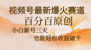 (13225期)视频号最新爆火赛道,中老年粉深信不疑,百分百原创,新号三天收益轻松…-黑斯坦丁项目网
