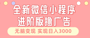(13197期)全新微信小程序进阶版撸广告 无脑变现睡后也有收入 日入3000+-黑斯坦丁项目网