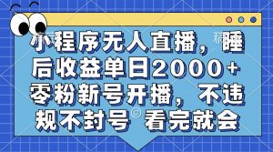（13251期）小程序无人直播，睡后收益单日2000+ 零粉新号开播，不违规不封号 看完就会-黑斯坦丁项目网