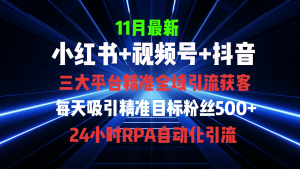 (13259期)全域多平台引流私域打法,小红书,视频号,抖音全自动获客,截流自…-黑斯坦丁项目网