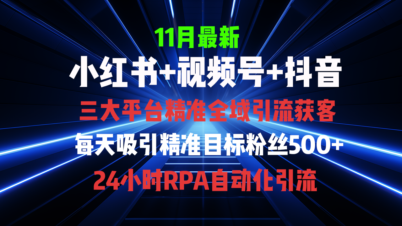 (13259期)全域多平台引流私域打法,小红书,视频号,抖音全自动获客,截流自…-黑斯坦丁项目网