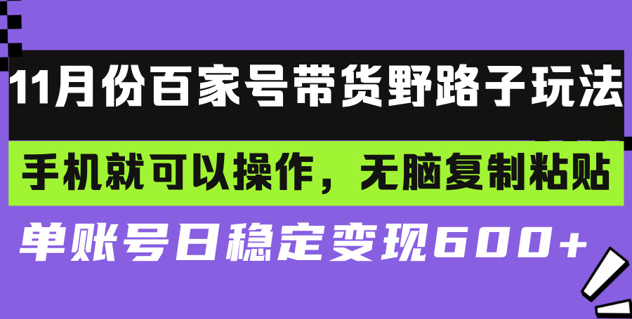 (13281期)百家号带货野路子玩法 手机就可以操作,无脑复制粘贴 单账号日稳定变现…-黑斯坦丁项目网