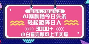 （13398期）今日头条最新5.0掘金玩法，轻松矩阵日入3000+-黑斯坦丁项目网