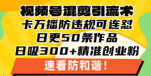 (13400期)视频号混剪引流技术,500万播放引流17000创业粉,操作简单当天学会-黑斯坦丁项目网