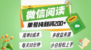 （13425期）最新微信阅读6.0，每日5分钟，单号利润200+，可批量放大操作，简单0成本-黑斯坦丁项目网