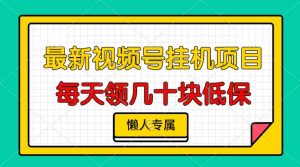 （13452期）视频号挂机项目，每天几十块低保，懒人专属-黑斯坦丁项目网